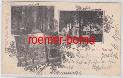 77329 Mehrbild Ak Gruß aus Fasanenhof Jersbeck 1902
