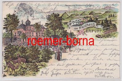 81305 Ak Lithographie Gruß vom Waldhaus Erfurt 1904