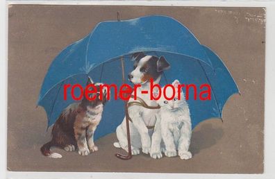 81438 Humor Ak Hund und 2 Katzen sitzen unter Regenschirm 1921