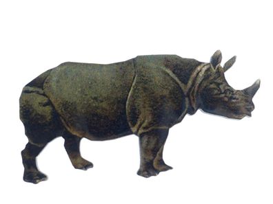 Nashorn bedruckt Brosche Miniblings Anstecknadel Holz Tier Safari Afrika Zoo