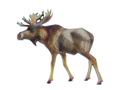 Elch bedruckt LC Brosche Miniblings Anstecknadel Holz Tier Kanada Schweden Moose