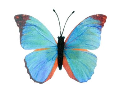 Schmetterling Brosche Miniblings blau Frühling Falter fliegen Textil Insekt