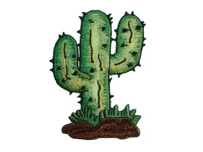 Kaktus Bügelbild Aufnäher Aufbügler Miniblings Wüste Cowboy 6x8cm Wilder Westen