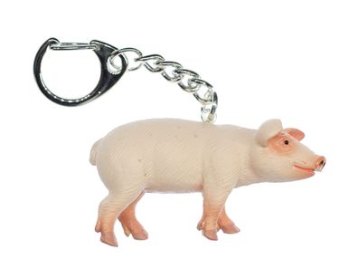 Schwein Schlüsselanhänger Miniblings Schlüsselring Schweinchen Glücksschwein