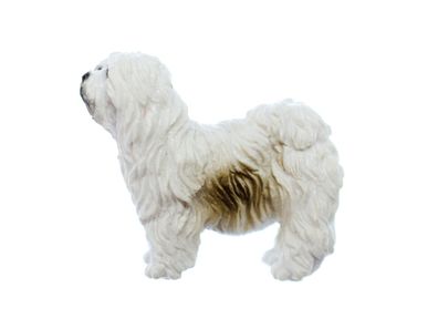 Bobtail Brosche Bobtailbrosche Miniblings Hund Weiß Hartgummi Haustier Hündchen