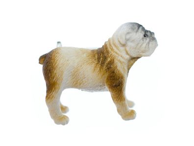 Mops Brosche Mopsbrosche Miniblings Hund Weiß Bauen Mopps Haustier Schoßhund