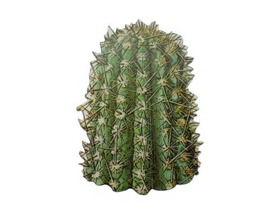 Kaktus Brosche Miniblings Blume Anstecknadel Wüste Pflanze Texas Western 5