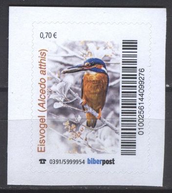biber post Eisvogel (Alcedo atthis) 2 (70) h1078