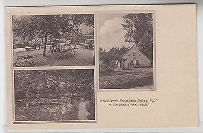 65086 Mehrbild Ak Gruß vom Forsthaus Ochsenkopf bei Schköna um 1922