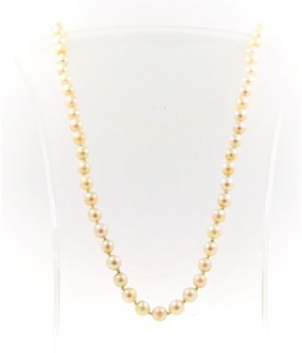 Perlenkette mit Verschluss aus 585er Gelb- und Weißgold