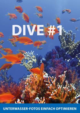 DIVE #1 Standard Version - Unterwasser Fotos einfach optimieren - PC Download