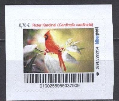 biber post Roter Kardinal (70) h1082