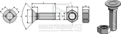 Pflugschraube DIN 608 M10 X 1,5 X 100 und Sechskantmutter / 1010088