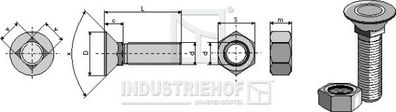 Pflugschraube DIN 608 M10 x 1,5 x 25 mit Sechskantmutter / 1025810