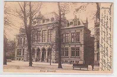 63986 Ak Münster Königl. Universität 1904