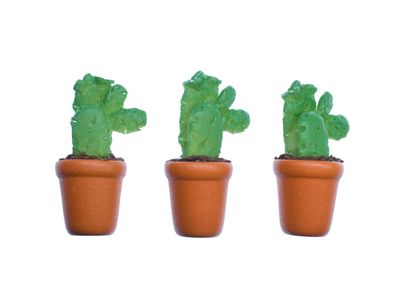 3x Kaktus Puppenhaus Puppenstube Puppenzubehör Kakteen Pflanze einstämmig