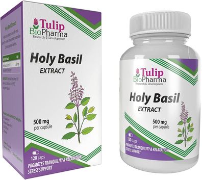 Holy Basil 5000mg Equivalent (500mg of 10:1 Extract) 120 Capsules Tulip Biopharma