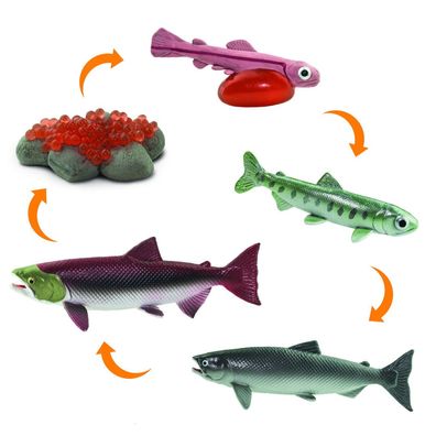 Safari 100267 Spielfiguren-Set Lebenszyklus Lachs 2,5cm Meereswelt Sea NEU NEW