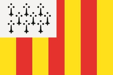 Fahne Flagge Geel (Belgien) Premiumqualität
