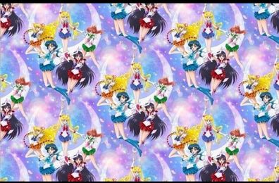 Sailor moon stoff sweat