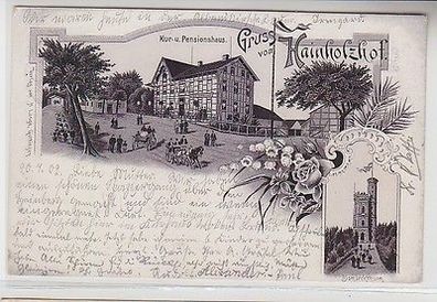 64787 Ak Lithographie Gruss vom Hainholzhof Kur- & Pensionshaus 1902