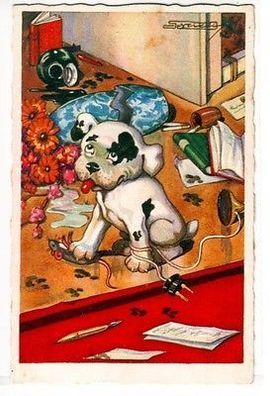 08801 Humor Ak Hund verwüstet Wohnzimmer 1927