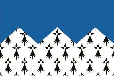 Fahne Flagge Cotes dÀrmor Department neu Premiumqualität