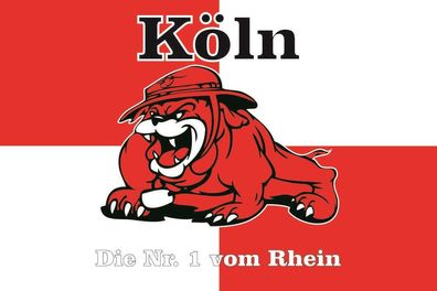 Fahne Flagge Köln Bulldogge Premiumqualität
