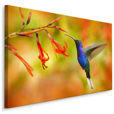 CANVAS Leinwandbild XXL Wandbilder Vogel Kolibri Blumen Natur Esszimmer 920