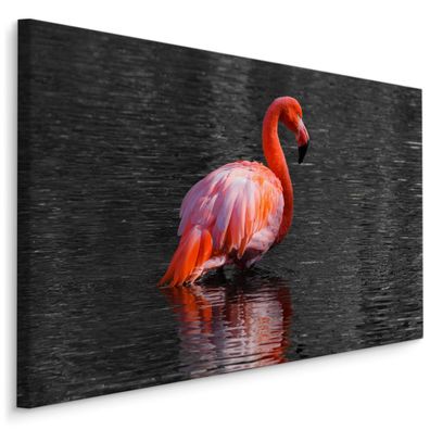 CANVAS Leinwandbild XXL Wandbilder Vogel Flamingo Wasser Tier Esszimmer 927