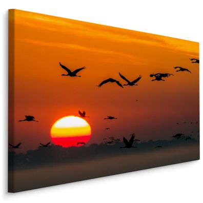 CANVAS Leinwandbild XXL Wandbilder Vogel Kraniche Sonnenuntergang 930