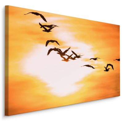 CANVAS Leinwandbild XXL Wandbilder Vögel Kormorane Sonnenuntergang 932