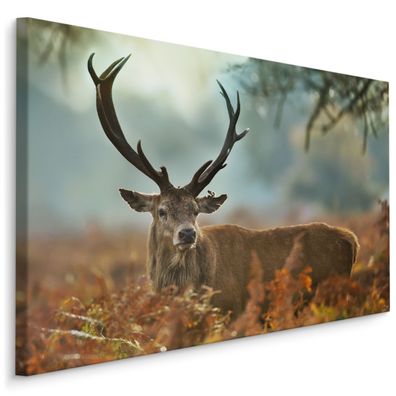 CANVAS Leinwandbild XXL Wandbilder Schlafzimmer HIRSCH Furche Natur 1104