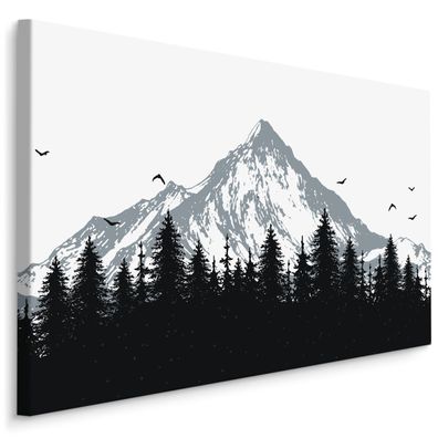 CANVAS Leinwandbild XXL Wandbilder schwarz-weißer WALD Berge 1157
