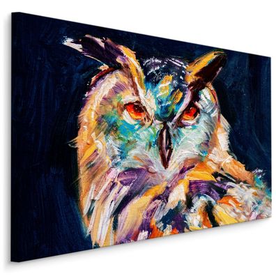 CANVAS Leinwandbild XXL Wandbilder Kunstdruck bunte Eule Vogel Malerei 937