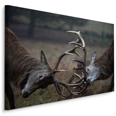 CANVAS Leinwandbild XXL Wandbilder Wand Hirsche Waldtiere Dekor 1078
