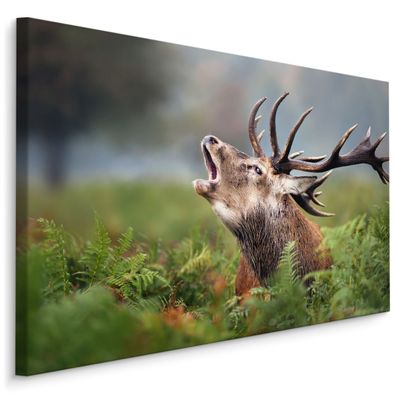 CANVAS Leinwandbild XXL Wandbilder Wand brüllender Hirsch Pflanzen grün 1096