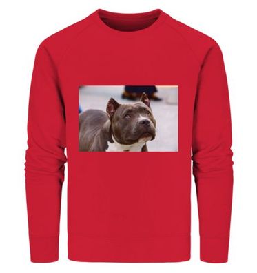 Premium Sweatshirts Herren - Organic Sweatshirt
