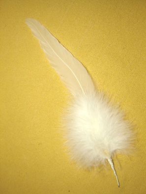 bayrische Hutfeder Trachtenfeder Hahnenschlappen weiß 1fach ca 20cm Nr26-40