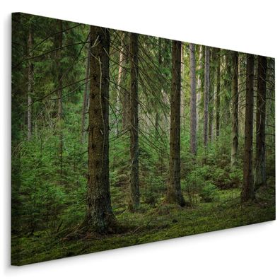 CANVAS Leinwandbild XXL Wandbilder WALD Bäume Natur Landschaft 3D 1279
