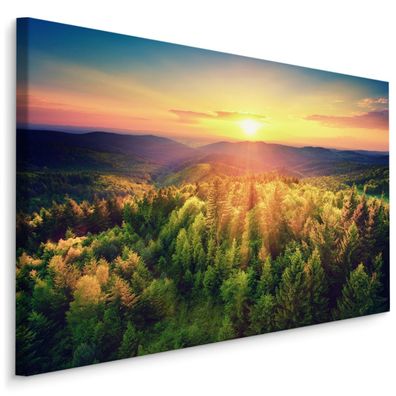 CANVAS Leinwandbild XXL Wandbilder Sonnenuntergang Wald Natur Land 3D 1283