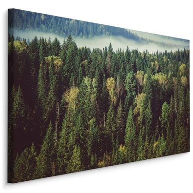 CANVAS Leinwandbild XXL Wandbilder Flur Wald BÄUME Nebel Natur 3D 1295