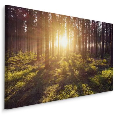 CANVAS Leinwandbild XXL Wandbilder Wohnzimmer Sonnenstrahlen im Wald 3D 1306