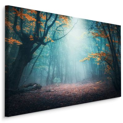 CANVAS Leinwandbild XXL Wandbilder nebliger Wald Herbst Bäume 3D 1327