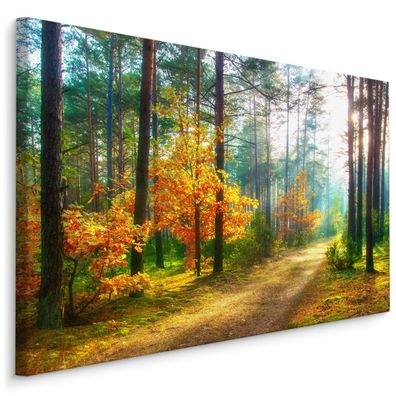 CANVAS Leinwandbild XXL Wandbilder Büro Sonnenstrahlen im Wald 3D 1332
