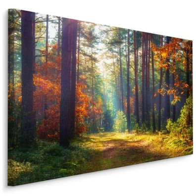 CANVAS Leinwandbild XXL Wandbilder WALD Bäume Herbst Landschaft 3D 1333