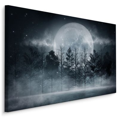 CANVAS Leinwandbild XXL Wandbilder auf Leinwand MOND Wald Nebel Natur 3D 1334
