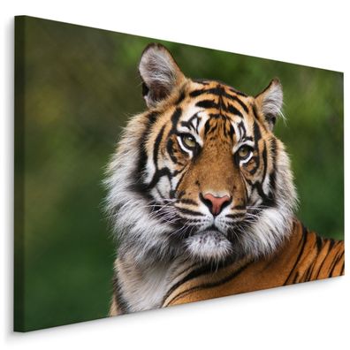 CANVAS Leinwandbild XXL Wandbilder wilde KATZE Tiger Porträt 3D 1525