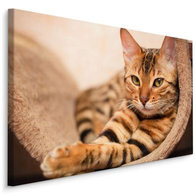 CANVAS Leinwandbild XXL Wandbilder Wohnzimmer KATZE bengalish Tiere 3D 1526