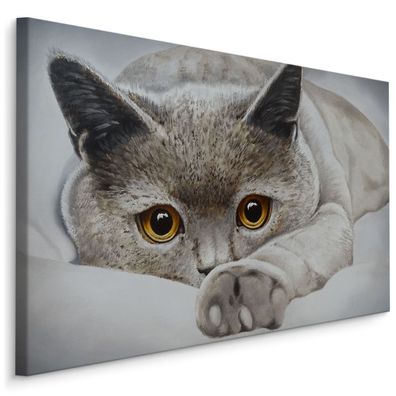 CANVAS Leinwandbild XXL Wandbilder Kunstdruck Flur GRAü Katze Tier 3D 1549